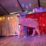 Foto paard Circus Op Post